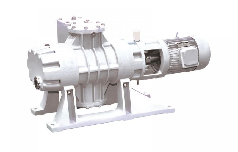 Eurovacuum EVR-1000 Roots Tipi Vakum Pompası 1080 m³/h