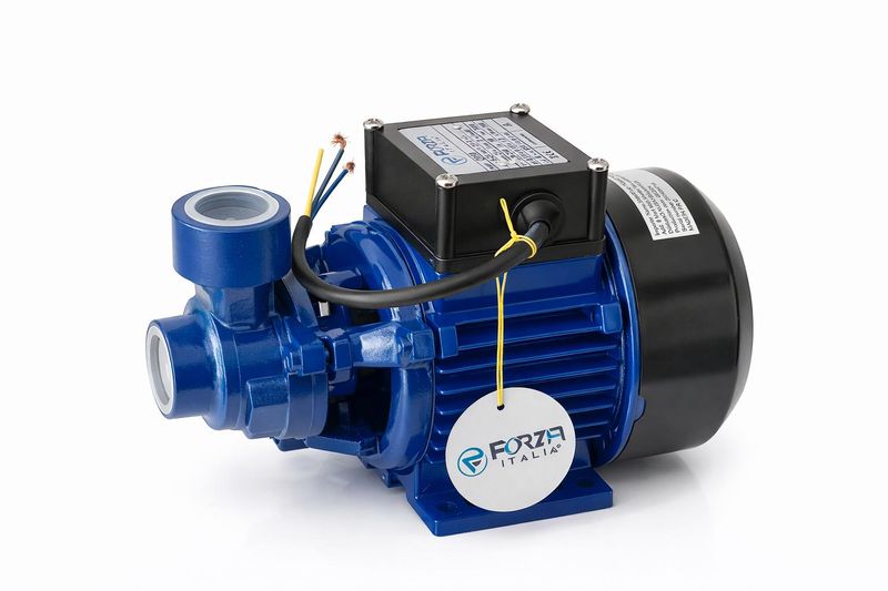 Forza FRZ-QB50 Sürtme Çarklı Su Pompası 0,15 HP
