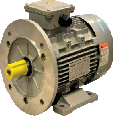 Nortek IE3-802-4 Trifaze IE3 Asenkron Elektrik Motoru 1 HP 1500 d/d 380V