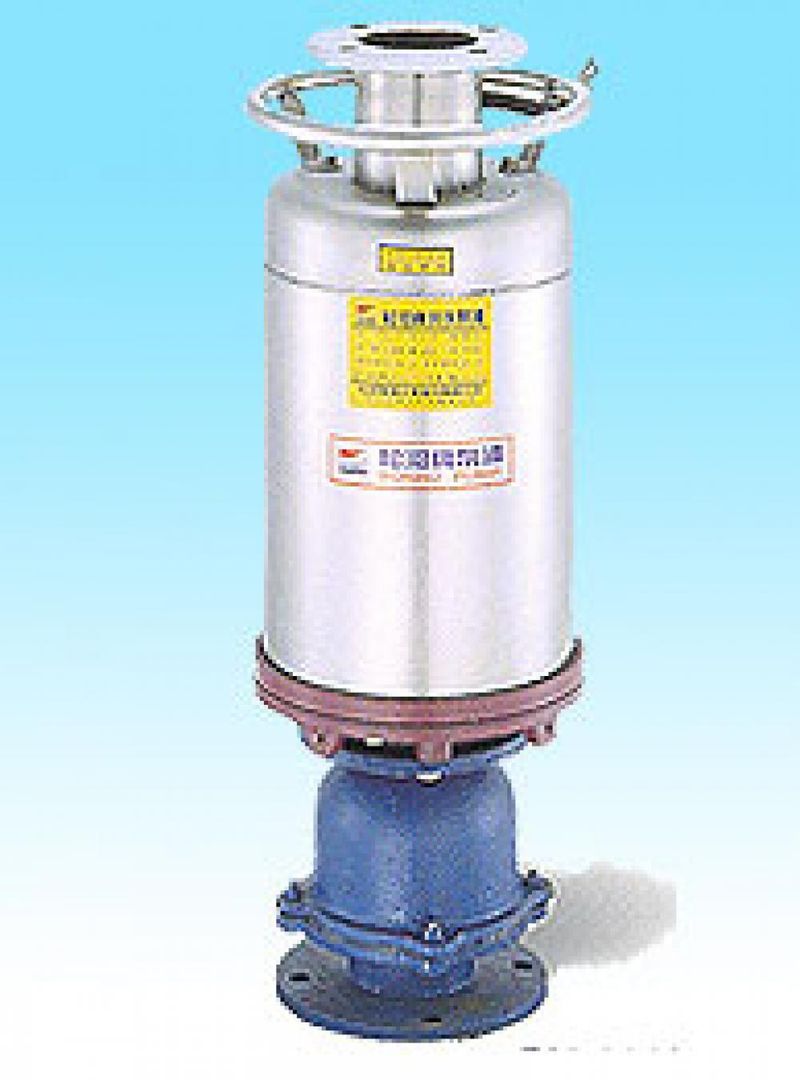 Huge Pump BH-322S Paslanmaz Deniz Suyu Dalgıç Pompası 2.2 kW