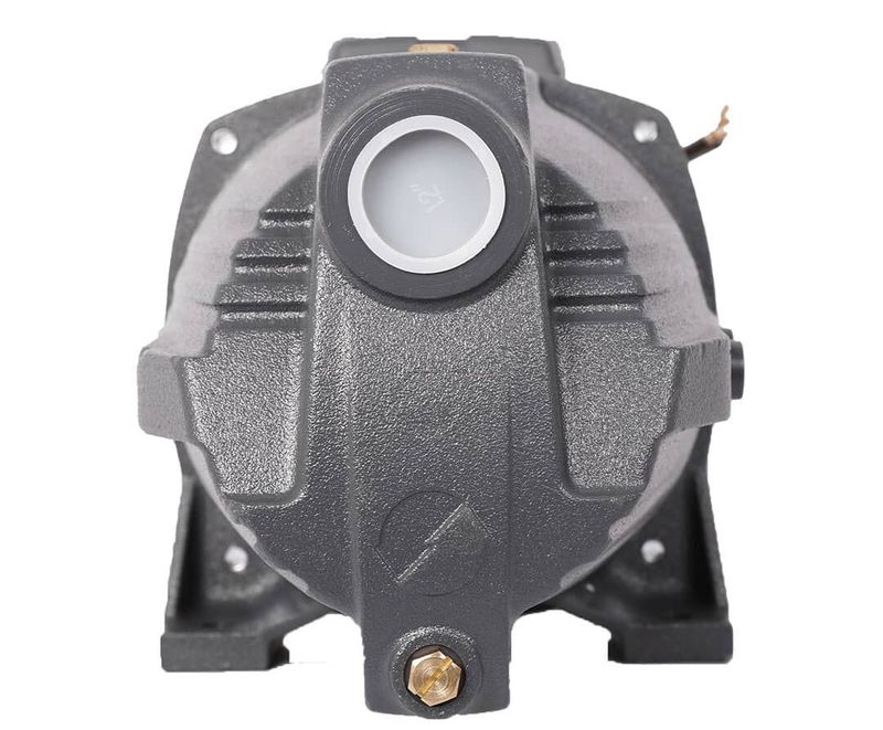 LEO AJm110 Kendinden Emişli Jet Pompa 1.5 Hp 220V