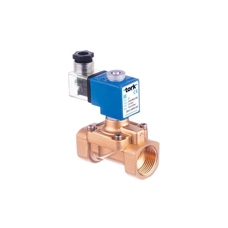 Tork S2021 Buhar Solenoid Valf Pilot Kumandalı N.Açık Fark Basınçsız 1/2'' - 0.15 - 5 Bar - 12 VDC