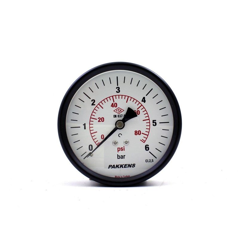 Pakkens 0-6 Bar 100 mm Arkadan Bağlantılı Kuru Manometre G 1/4 inç