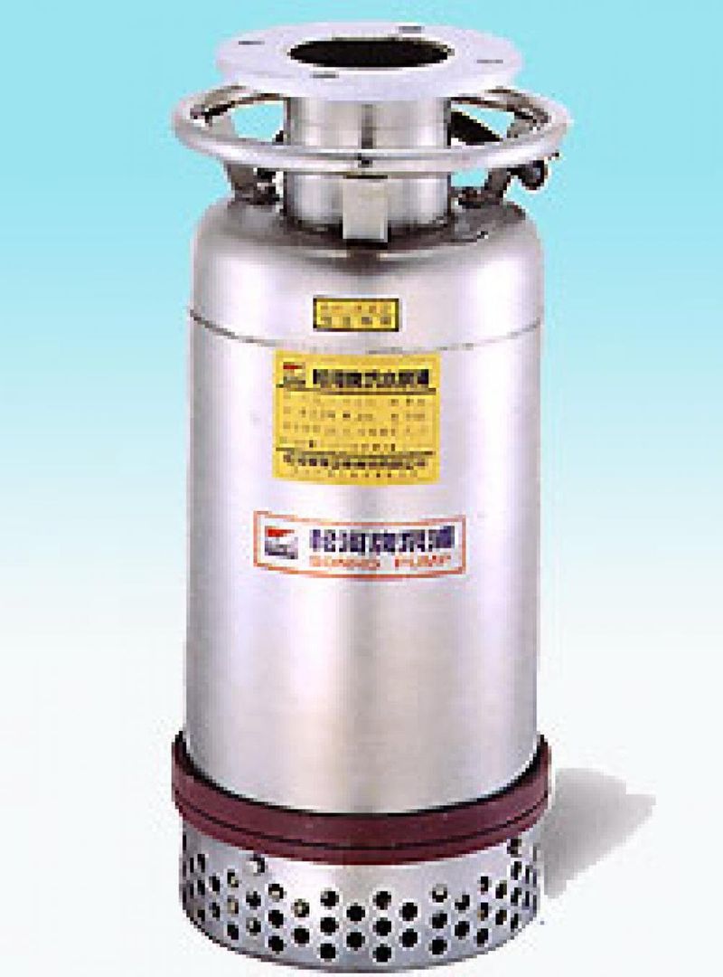 Huge Pump BH-422S Paslanmaz Deniz Suyu Dalgıç Pompası 2.2 kW