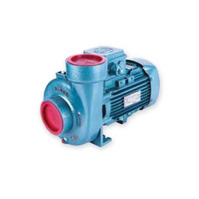 Varan CS-315 Kompakt Monoblok Santrifüj Pompa 1.5 Hp 380 Volt
