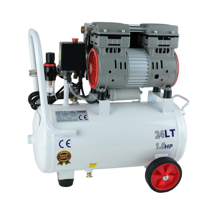 Airflush-2 Kompresörlü Çift Yönlü Petek Temizleme Makinası | Havalı Darbeli | 24 Litre Tanklı