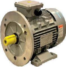Nortek IE3-80M2-2 Trifaze IE3 Asenkron Elektrik Motoru 1,5 HP 3000 d/d 380V