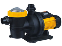 Nortek HCP 100 M Ön Filtreli Havuz Pompası 1 HP 220V