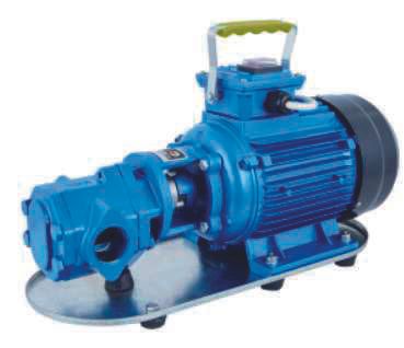 Nortek DSL 100 T Dişli Yağ Transfer Pompası 1 HP 380V