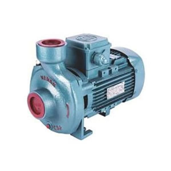 Varan CS-11 Kompakt Monoblok Santrifüj Pompa 1 Hp 220 Volt