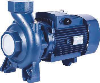 Nortek TSP 730 Tonajlı Santrifüj Pompa 7,5 HP 380V