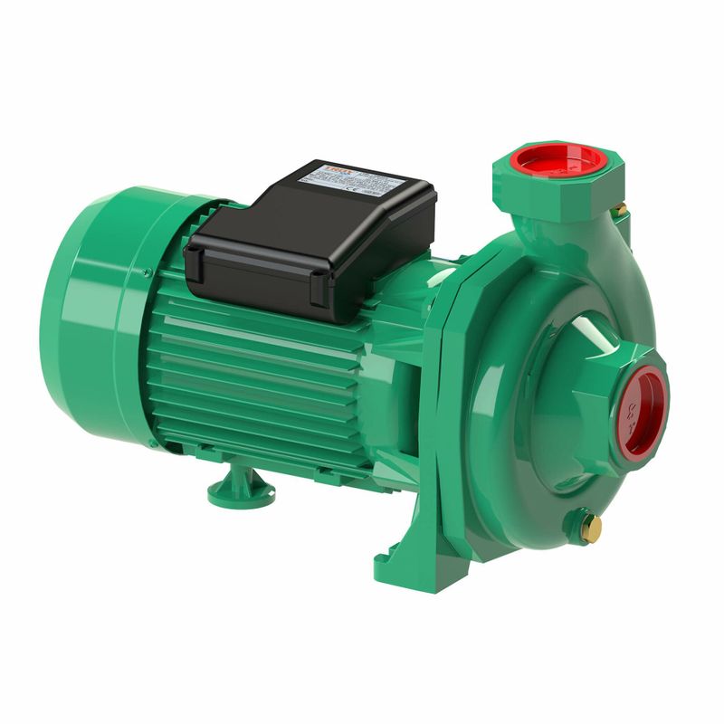 Troy HM 20/2 Santrifüj Pompa 2 Hp