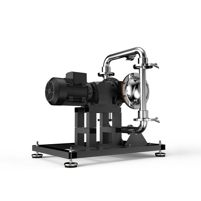 Huge Pump HP15 Hijyenik Gövdeli Elektrikli Diyaframlı Pompa 13,8 m³/h