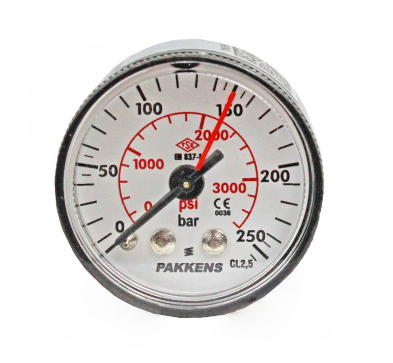 Pakkens 0-250 Bar 40 mm Arkadan Bağlantılı Kuru Manometre G 1/8 inç