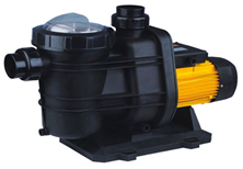 Nortek HCP 300 M Ön Filtreli Havuz Pompası 3 HP 220V