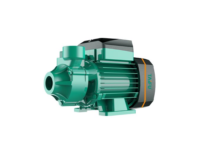 Taifu QB60 Sürtme Fanlı Su Pompası 0,5 HP 220 V