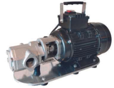 Nortek SS-DSL 100 T Paslanmaz Dişli Transfer Pompası 1 HP 380V