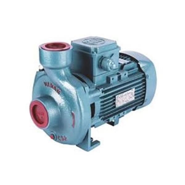 Varan CS-153 Kompakt Monoblok Santrifüj Pompa 3 Hp 220 Volt
